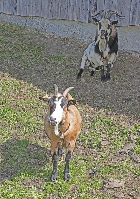 דירות מריהפאר Ulnhof מראה חיצוני תמונה